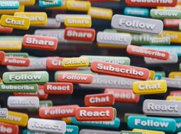 Media Advertising